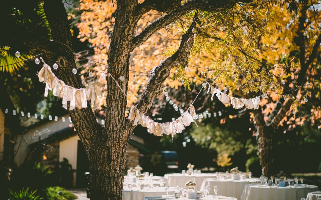 Eventos para el mes de Octubre y Noviembre