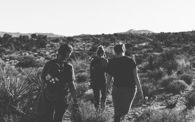 Walking Nature Coach, el teambuilding perfecto para conectar con la naturaleza