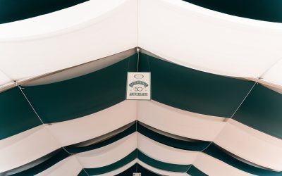 Casa Westfalia celebra 50 años llenos de propósito y bienestar organizacional