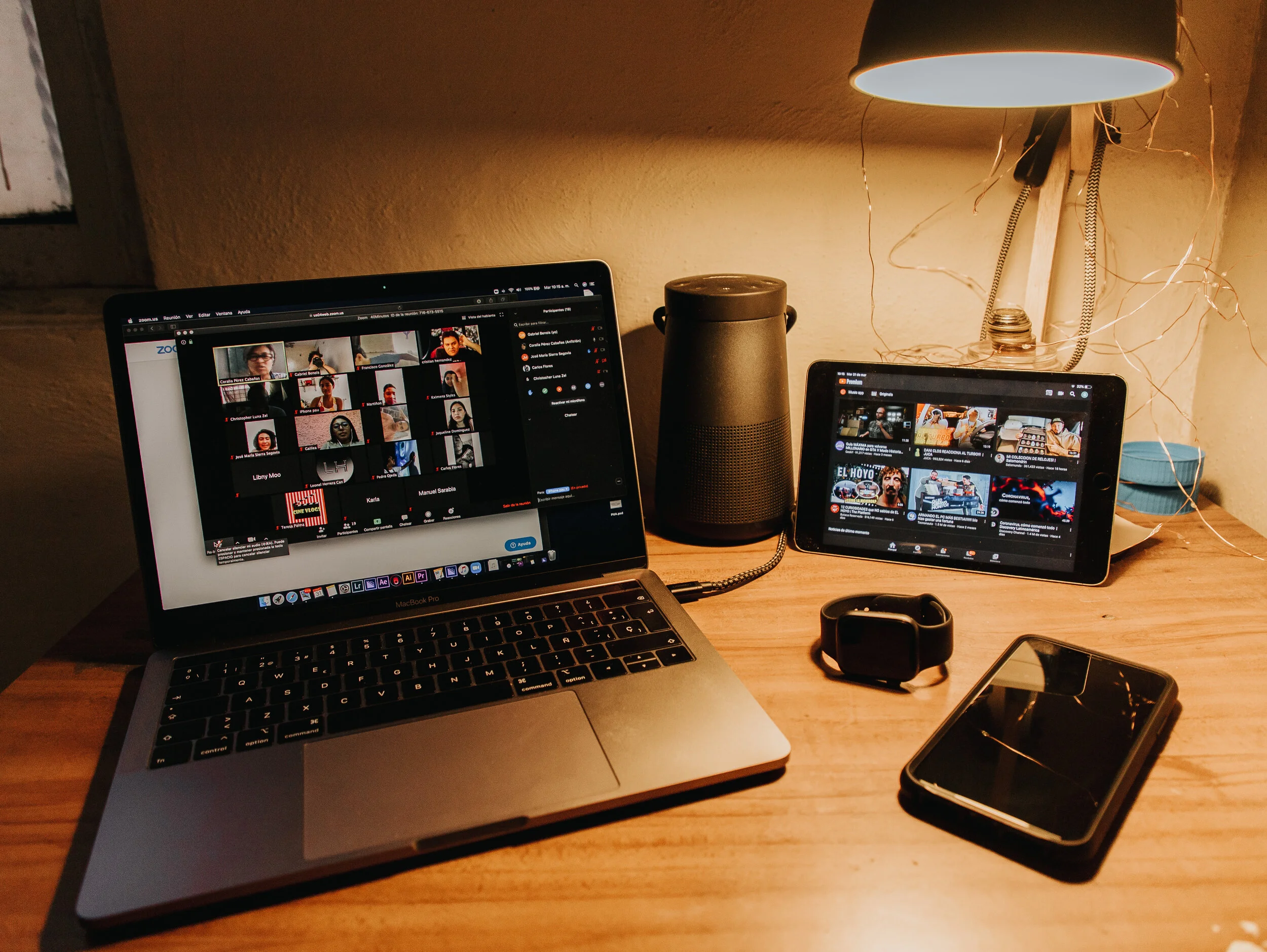   Organización de Zoom  